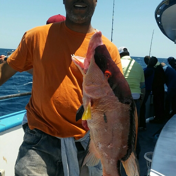 Meet your Posher, Sheldon - Picture 4 of 16